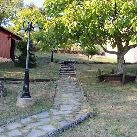 Dimitra'S Villas 엘라토코리 외부 사진
