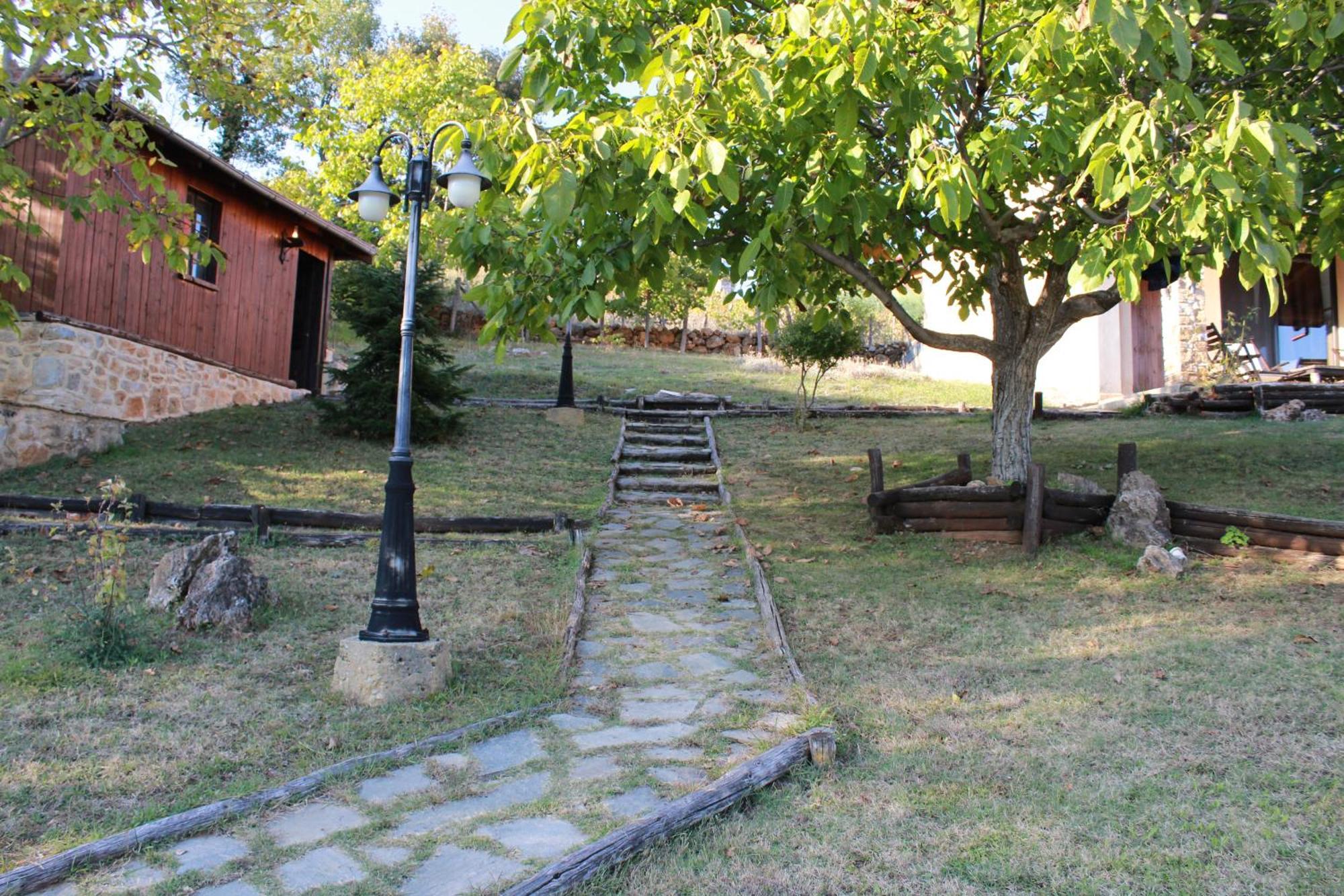Dimitra'S Villas 엘라토코리 외부 사진