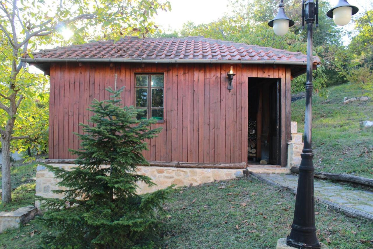 Dimitra'S Villas 엘라토코리 외부 사진